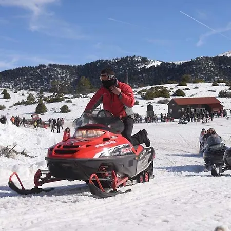Villa Maria Synikia Mesi Trikalon