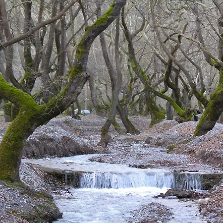 Maria Villa Synikia Mesi Trikalon