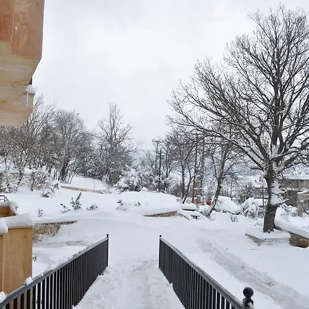 Maria Synikia Mesi Trikalon