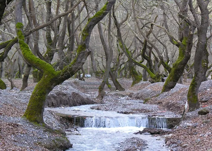 Maria Villa Synikia Mesi Trikalon